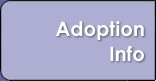 Adoption Info