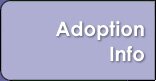 Adoption Info