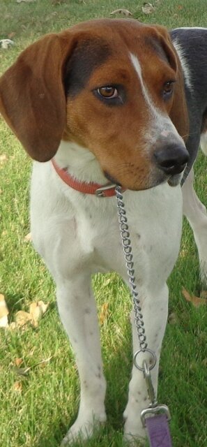 Janie  - Click for profile information