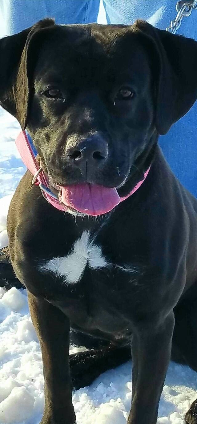 Missy - Click for profile information