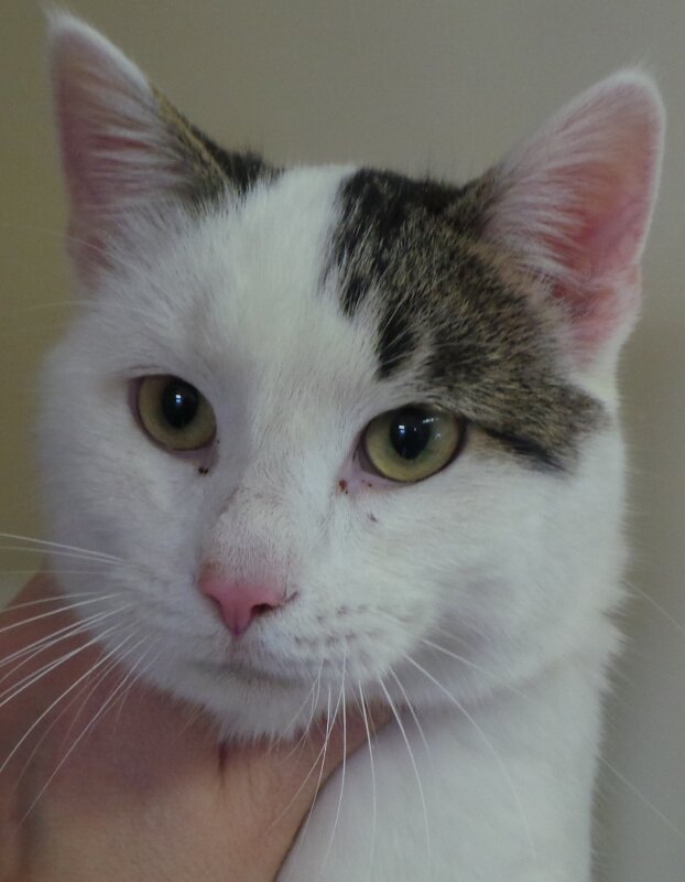 Casey - Click for profile information