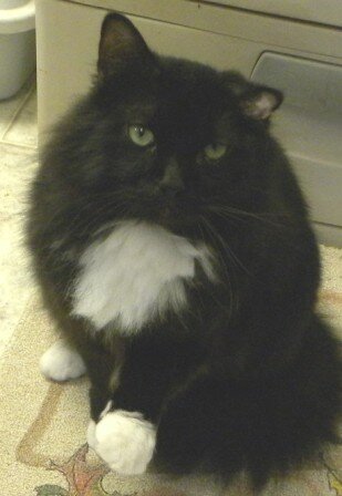 Ernie - Click for profile information