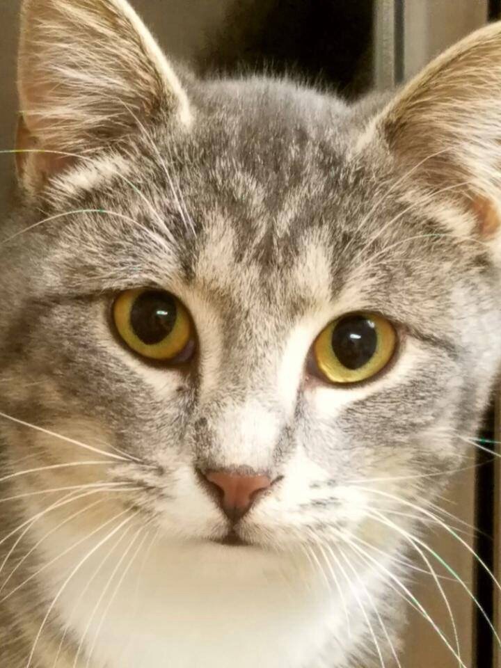 Minnie - Click for profile information