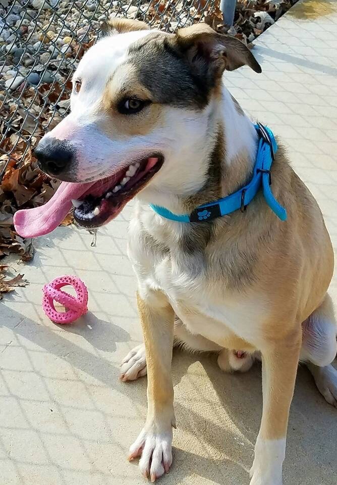 Heidi - Click for profile information