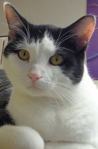 Benny - Click for profile information