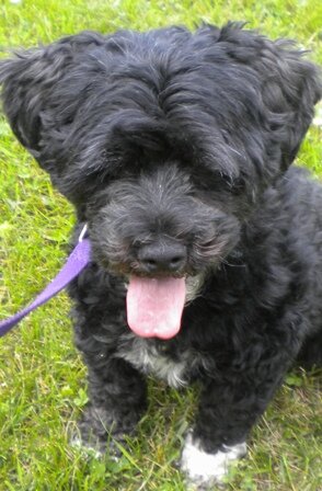 Barbi  - Click for profile information