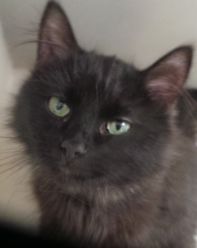 Junior  - Click for profile information